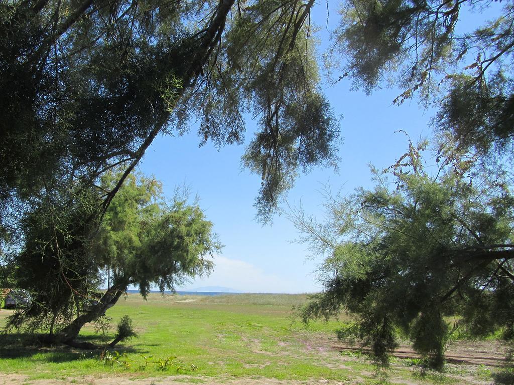 Camping Miami Plage Hotel Poggio Mezzana ภายนอก รูปภาพ