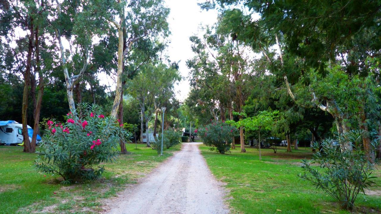Camping Miami Plage Hotel Poggio Mezzana ภายนอก รูปภาพ